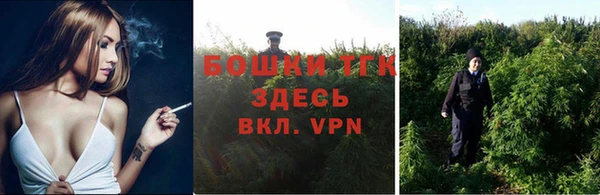 ПСИЛОЦИБИНОВЫЕ ГРИБЫ Волосово