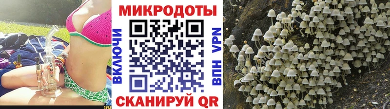 кракен ТОР  Дедовск  Галлюциногенные грибы Psilocybe  где можно купить  